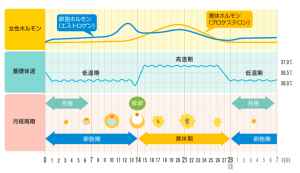 栄養士コラム 月経周期とダイエットの関係性 年11月号 スポーツクラブaruku